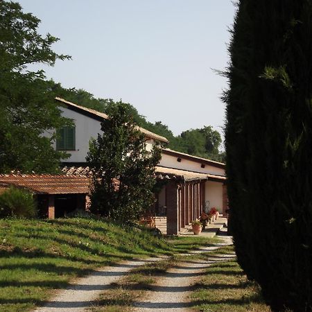 Casale Arcadia Otel Orvieto Dış mekan fotoğraf