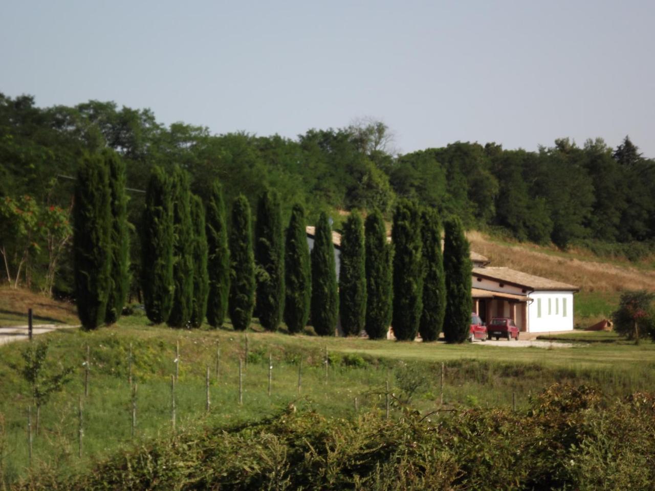 Casale Arcadia Otel Orvieto Dış mekan fotoğraf